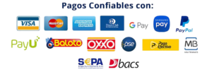 curso project manager express