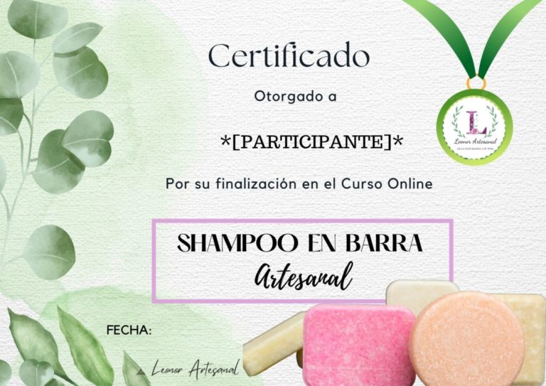 curso shampoos solidos