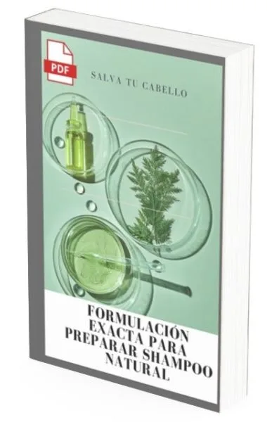 curso de shampoos naturales